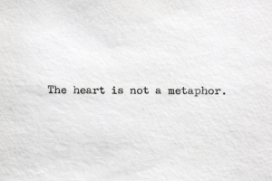 The heart is not a metaphor.